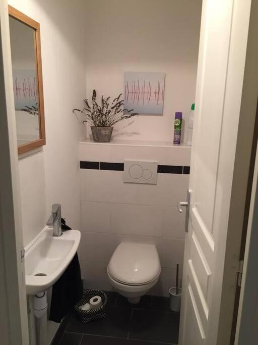 Duplex, Proche Commerces Et * Saint-Malo