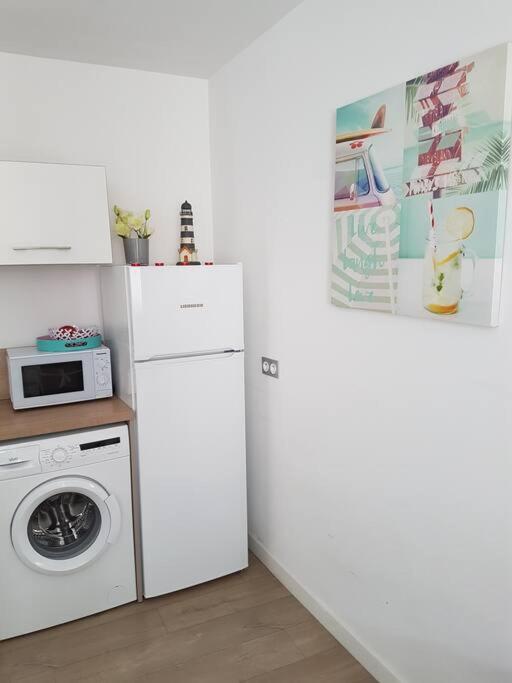Appartement Duplex, Proche Commerces Et Saint-Malo