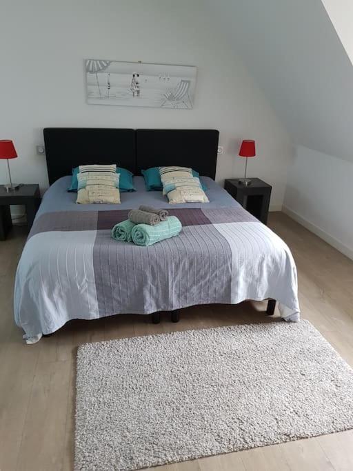 Duplex, Proche Commerces Et * Saint-Malo