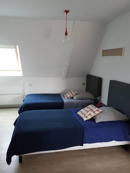 Duplex, Proche Commerces Et Saint-Malo